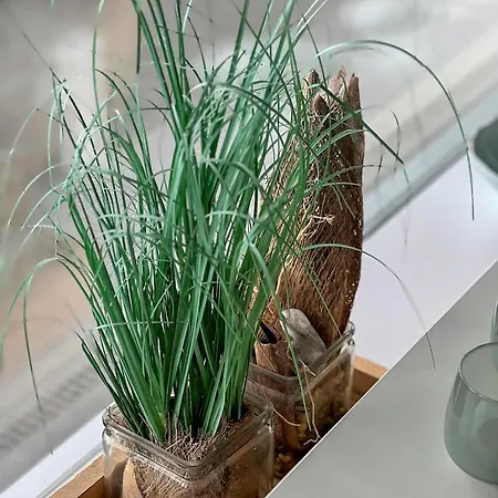 Apartamento Haus Poseidon 4 1 Wangerooge